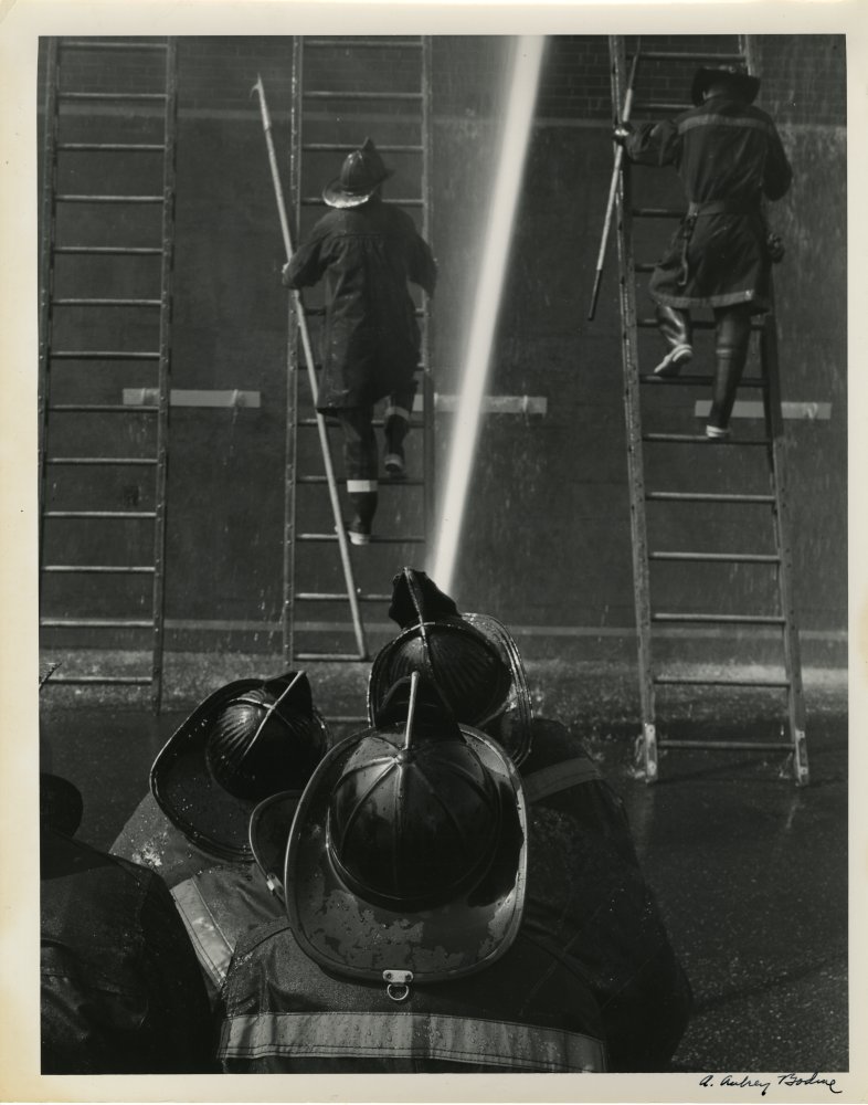 29-192 (click for large image)